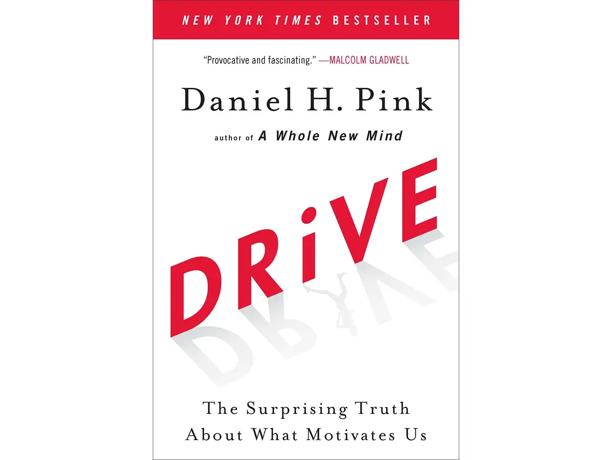 'Drive: The Surprising Truth About What Motivates Us' by Daniel Pink