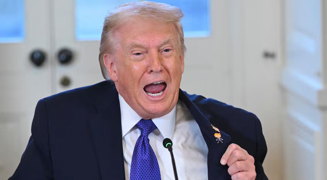 Egomaniac Trump, 79, Gives Himself a Deranged New Job Title