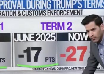 CNN Data Guru Says ‘Unpopular’ ICE Barbie Is ‘Political Disaster’