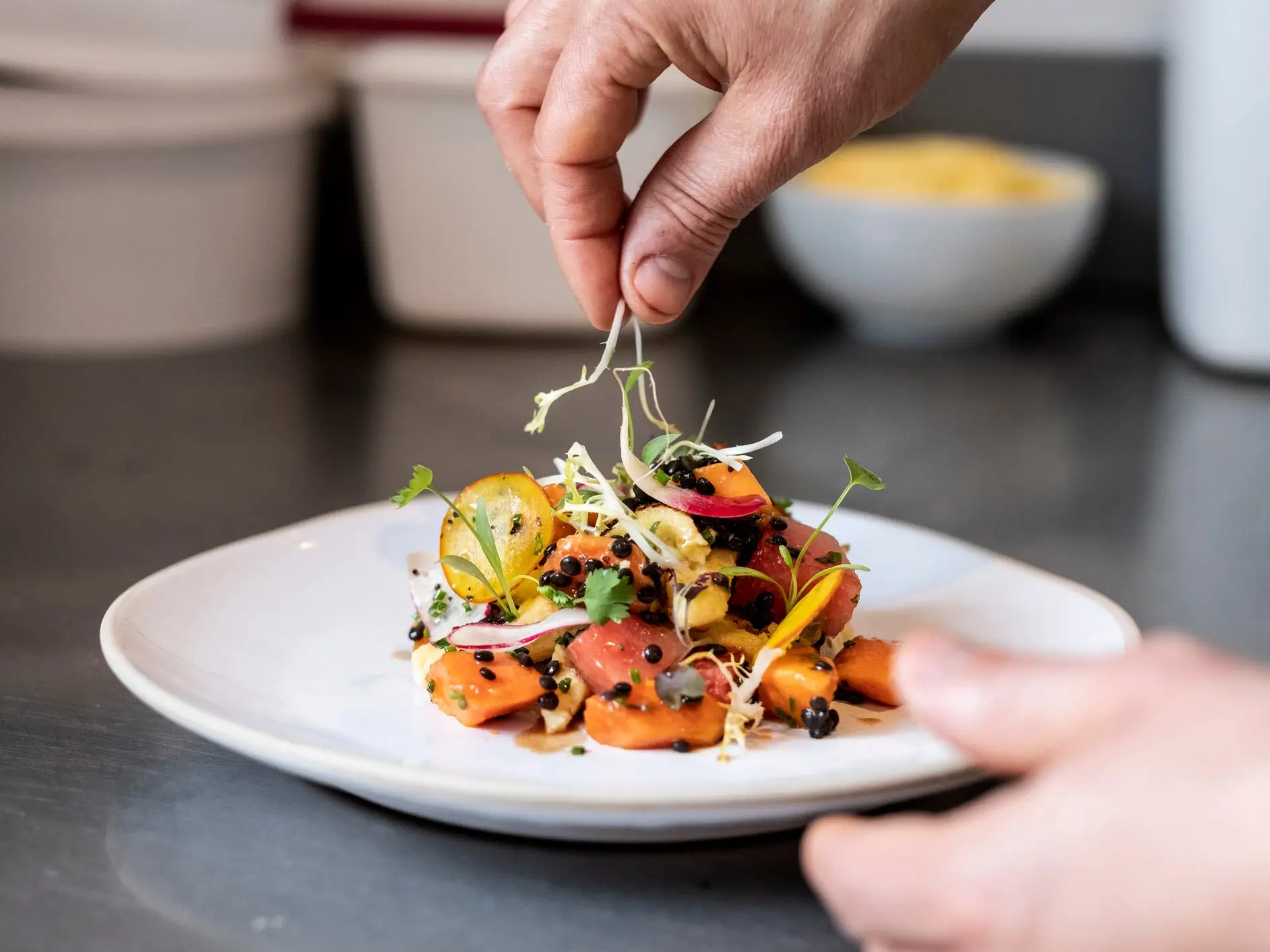 A chef plates a meal by adding the finishing touches on top of a salad.