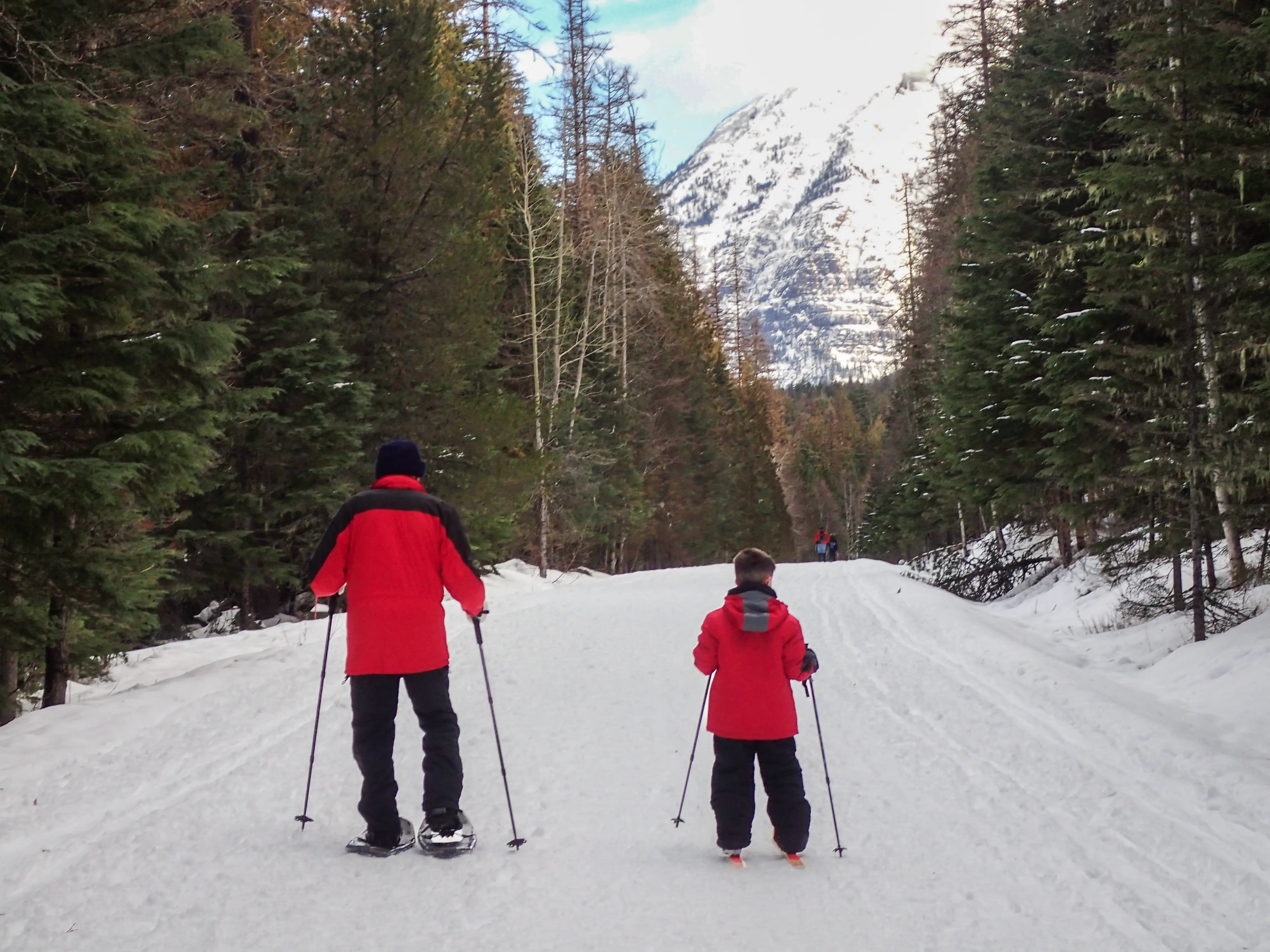 An adult and a child cross-country ski toward snow-covered mountains on an unpaved road lined with trees.