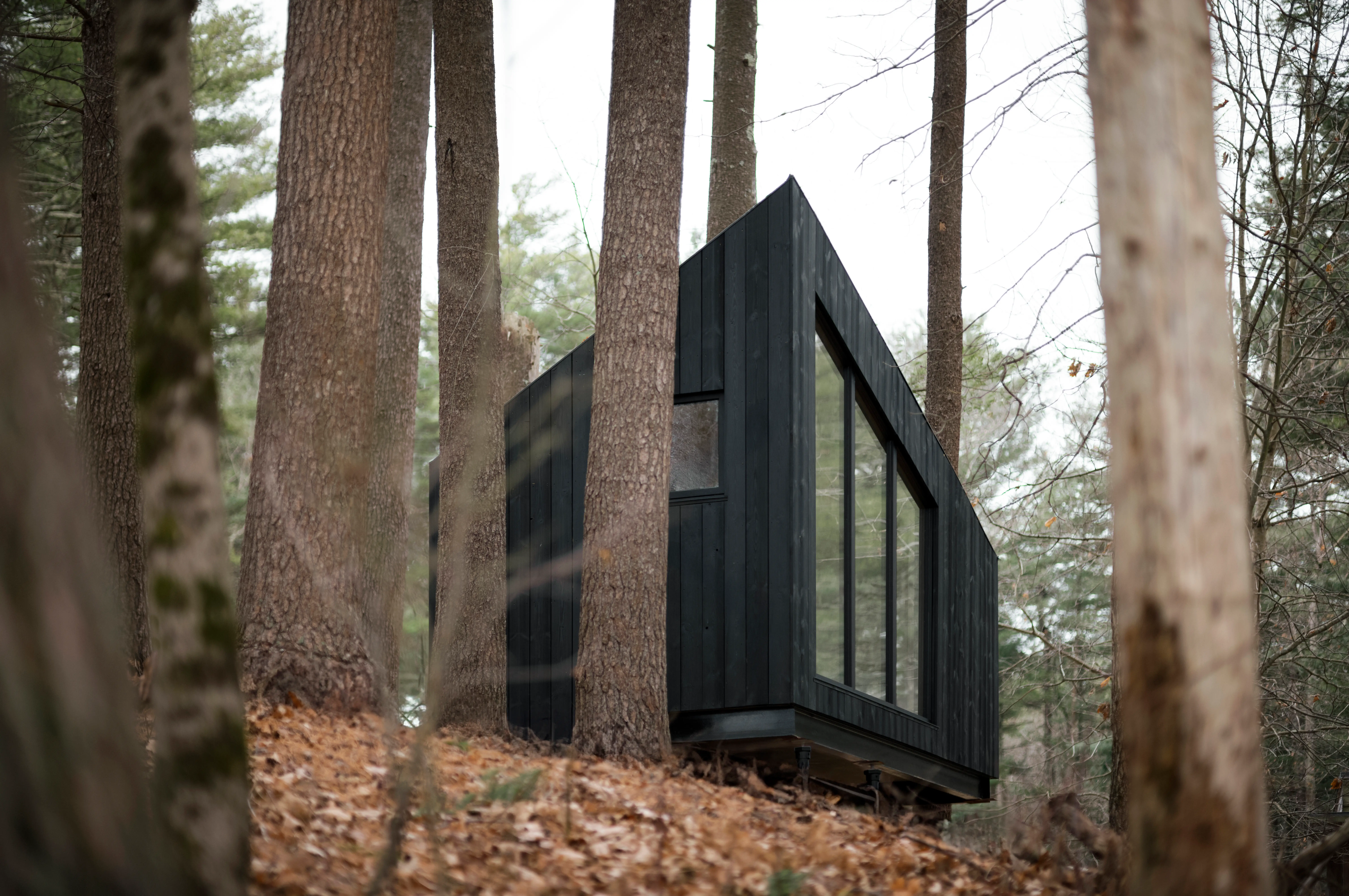 A Koto tiny home in the woods.