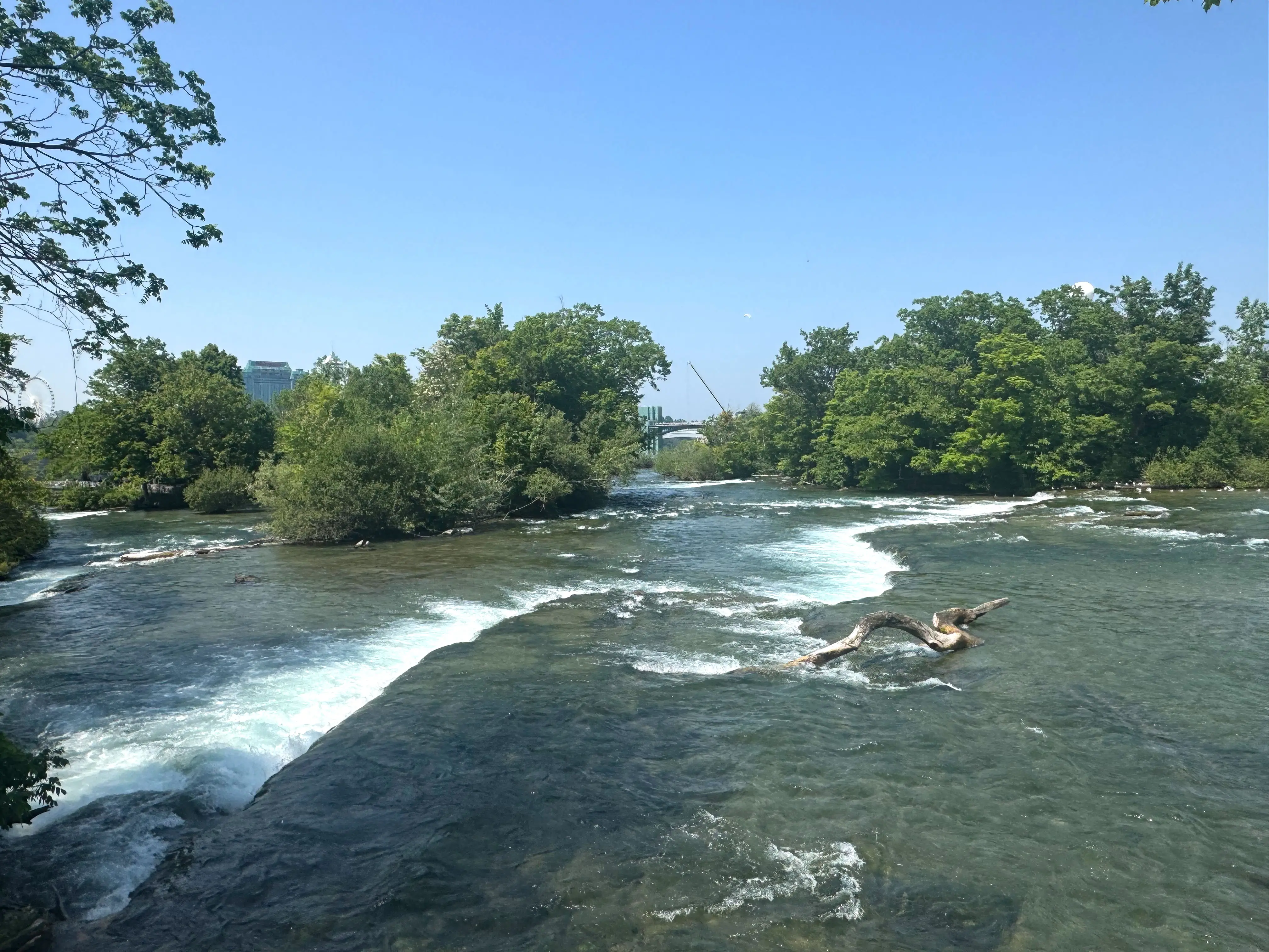 A river surrounded by trees.