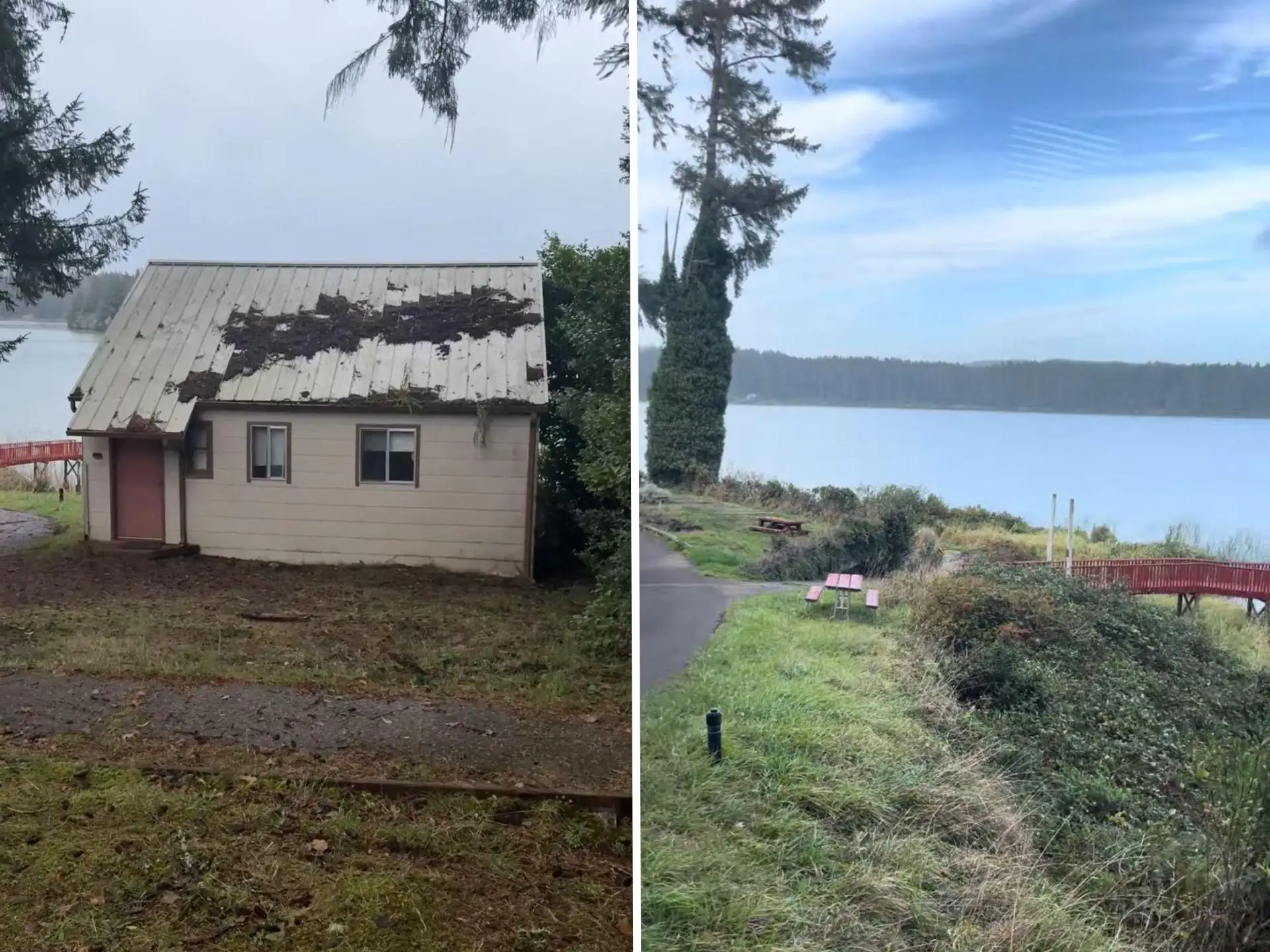 A side-by-side of a rundown house and an overgrown grassy area next to a red bridge that leads to water.