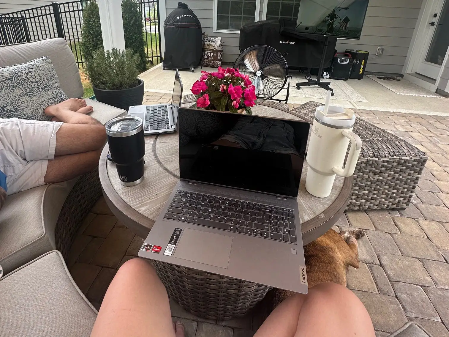 Author with laptop in backyard