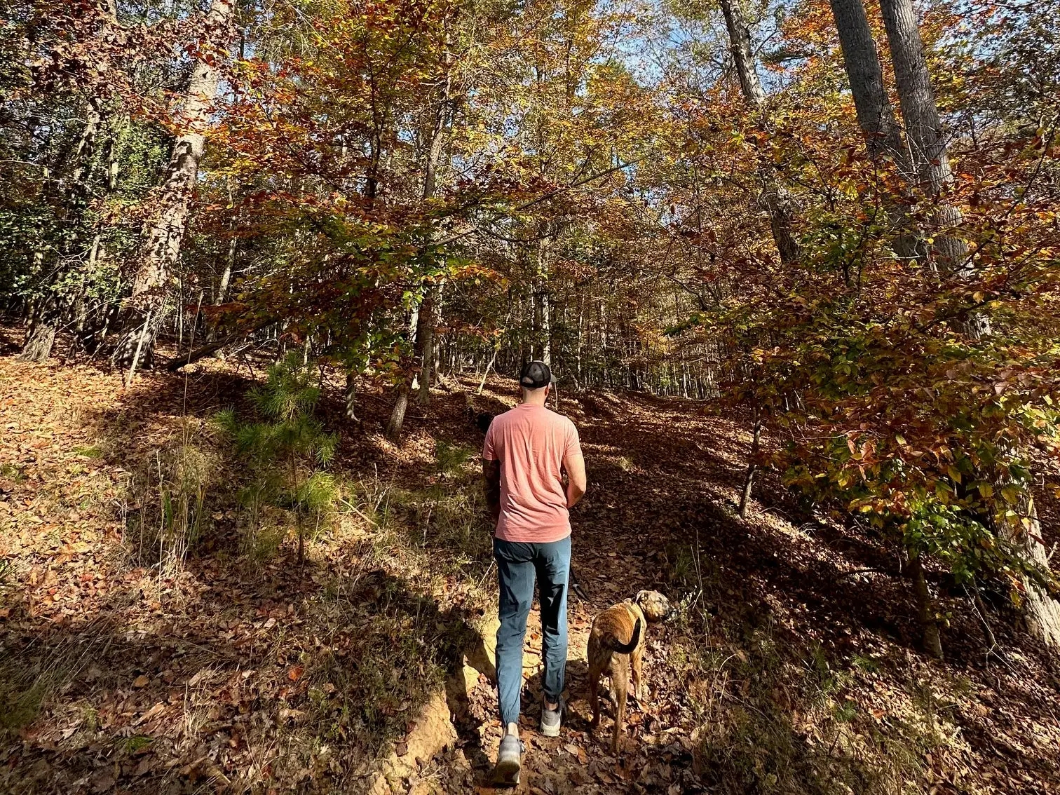 Person standing in  Lake Norman State Park