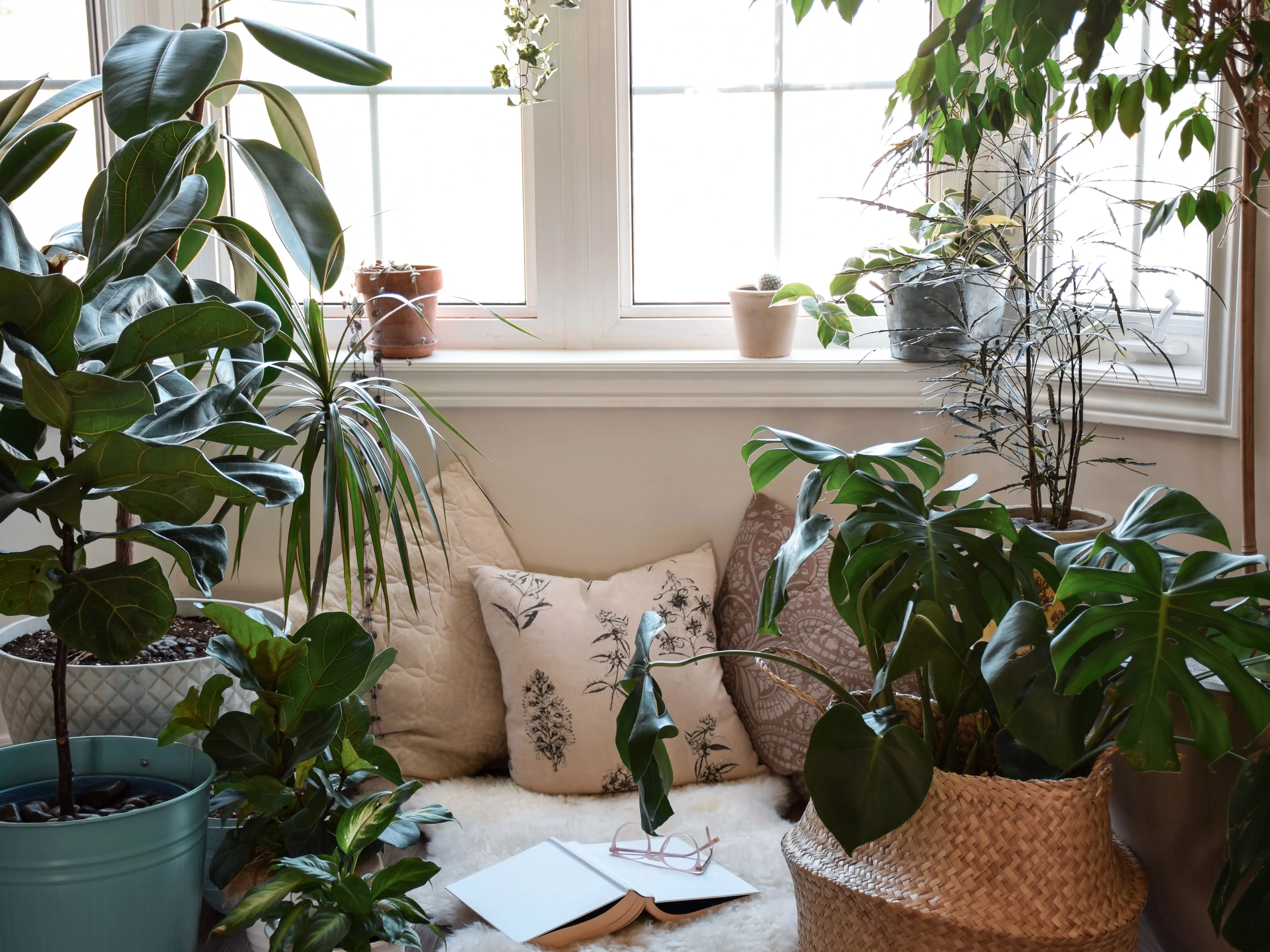 A cozy reading corner full of plants in a living room.