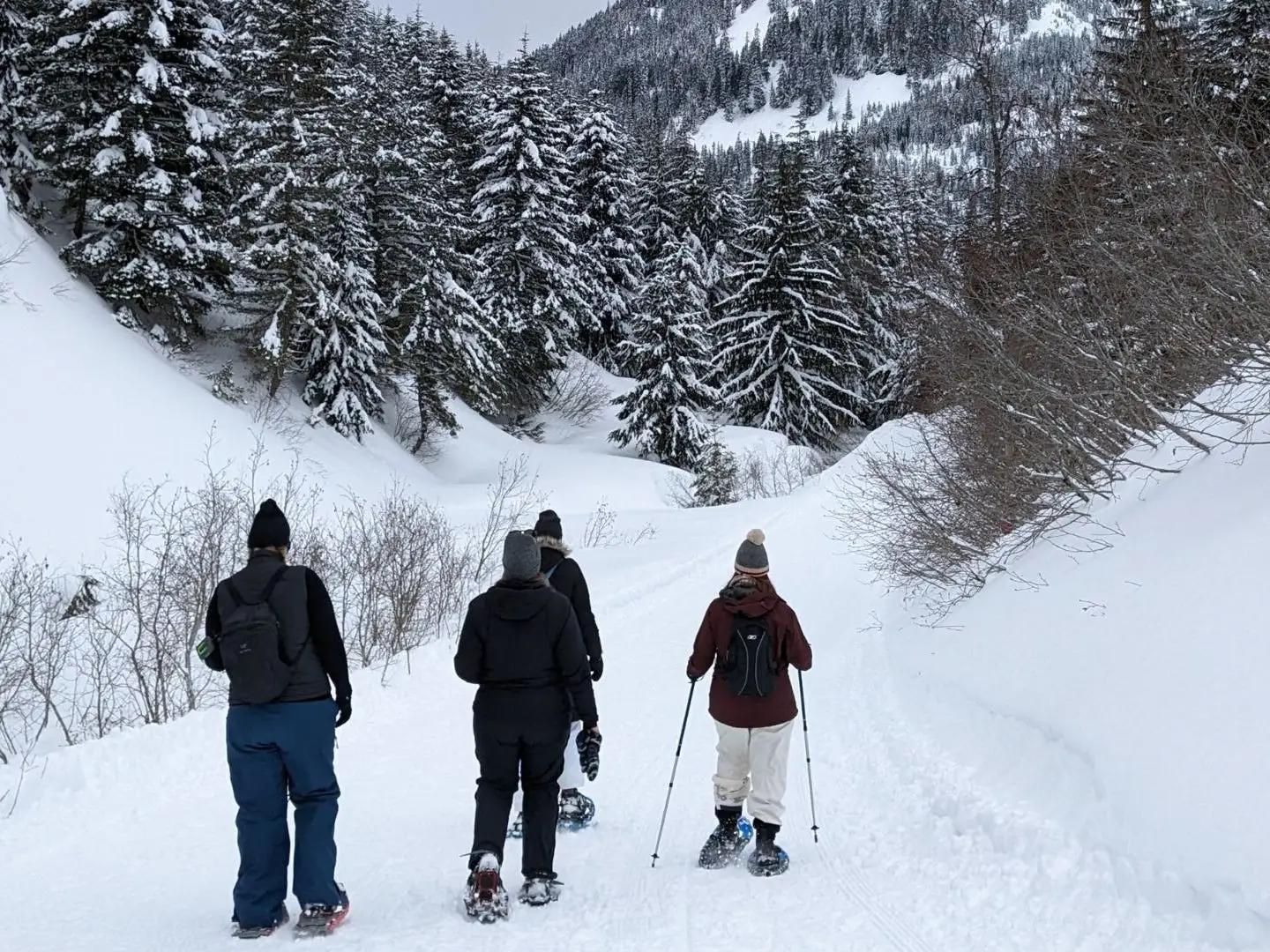 Four people snowshoeing.