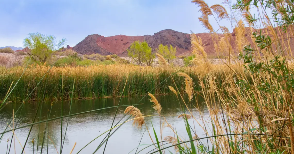 I’ve lived in Vegas for over a year, and haven’t visited The Strip. Instead, I’ve found a cozier side of Sin City.