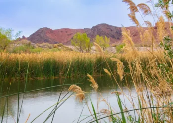 I’ve lived in Vegas for over a year, and haven’t visited The Strip. Instead, I’ve found a cozier side of Sin City.