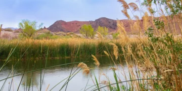 I’ve lived in Vegas for over a year, and haven’t visited The Strip. Instead, I’ve found a cozier side of Sin City.