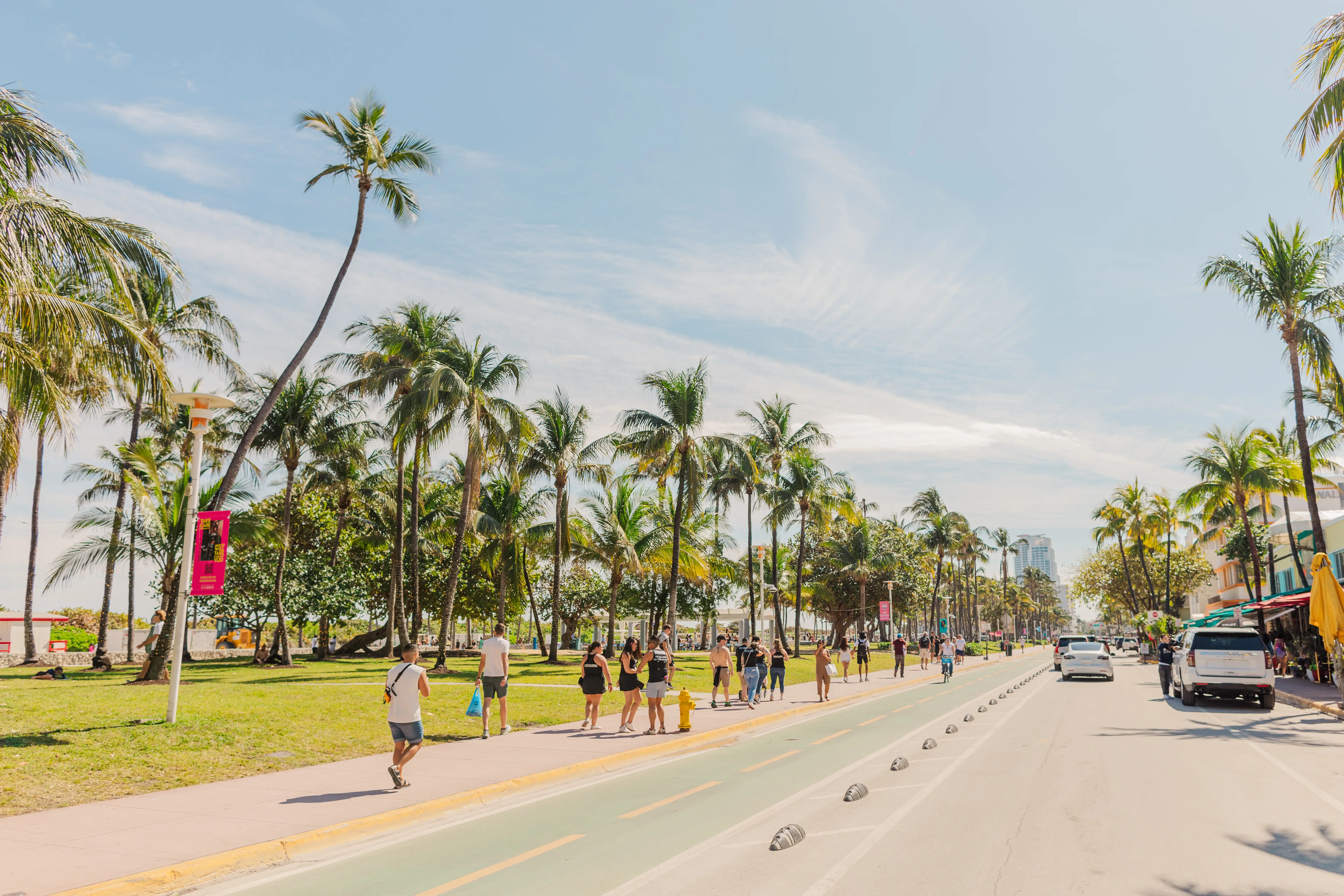 People walking along palm-tree-lined street in Miami