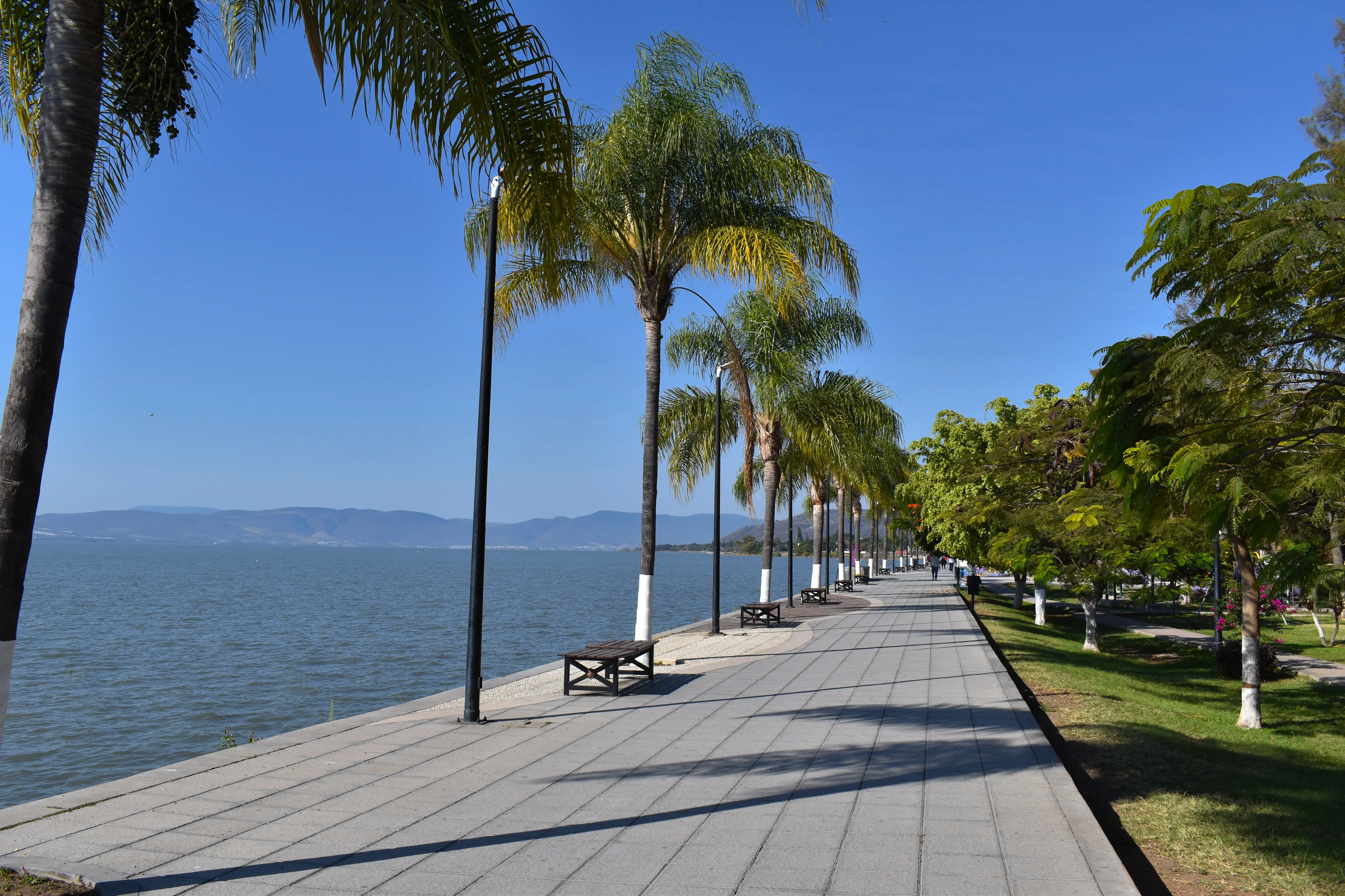 jijic boardwalk, with Lake Chapala in the background and some palms