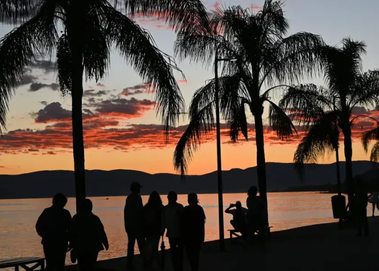 I left my full-time job at 50 and moved to Mexico. The savings were great &mdash; and the reinvention was even better.