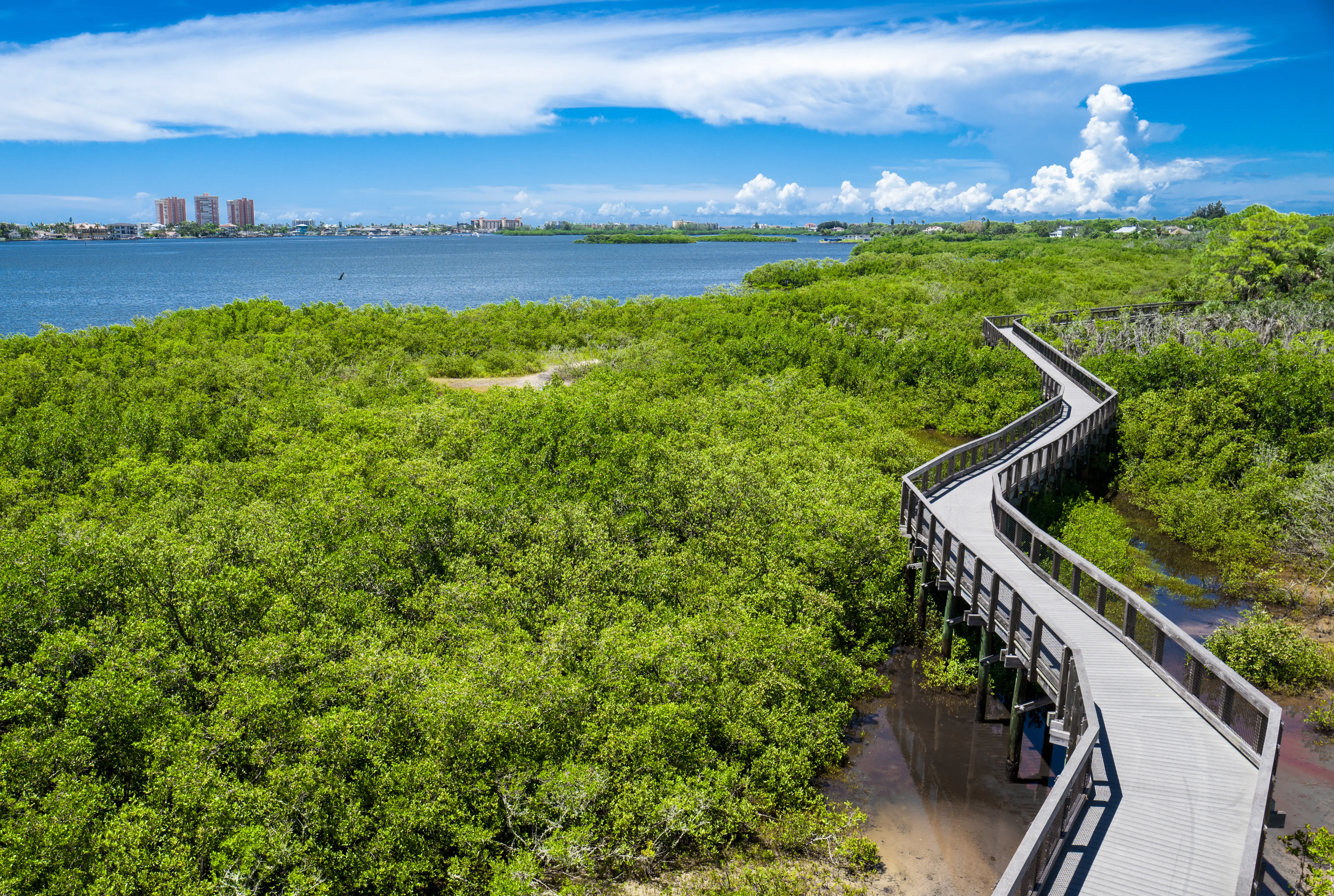 Aerial view of Millennium Park in St. Petersburg Florida