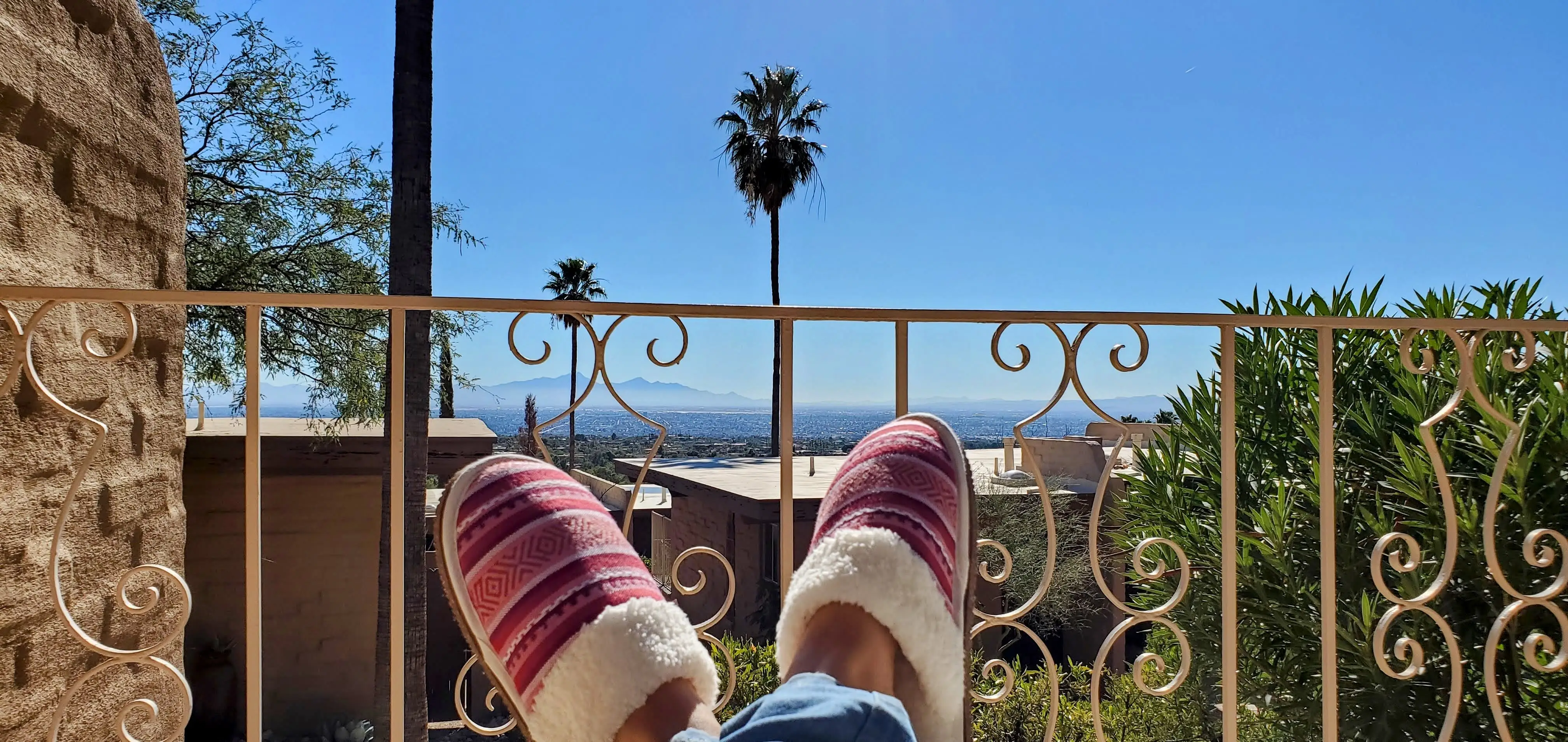 Slippers in front of railing with palm trees in distance