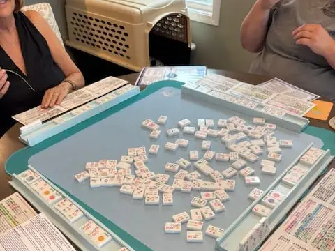 Mahjong board