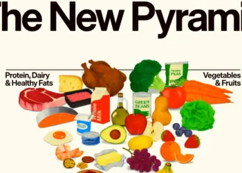 No sugar, more fat: RFK Jr’s new dietary guidelines include 5 big changes and an upside-down food pyramid