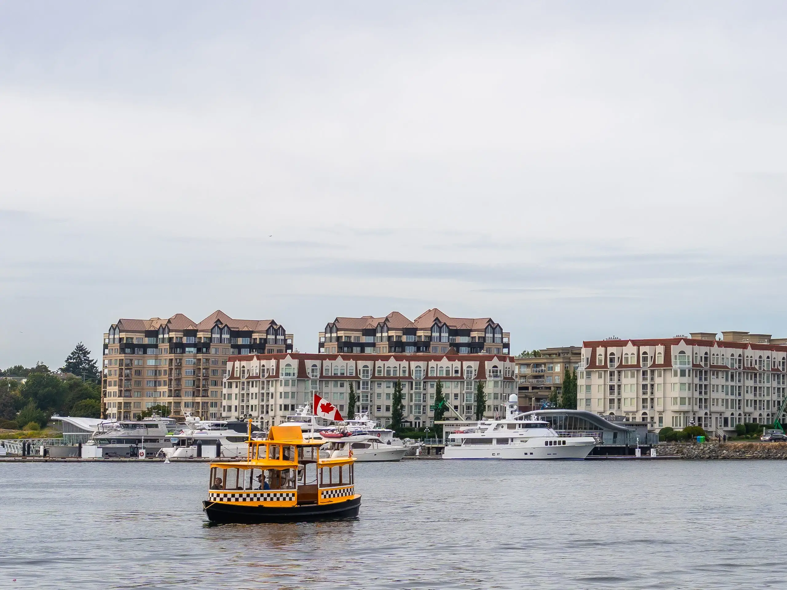 Yellow water taxi sailing in the harbor of victoria, british columbia,
