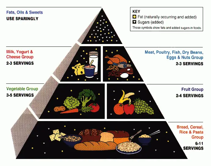 food pyramid