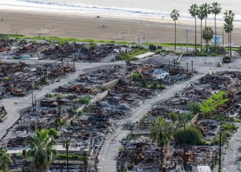 Photos show the Pacific Palisades one year after the Los Angeles wildfires, from empty lots to rebuilt storefronts