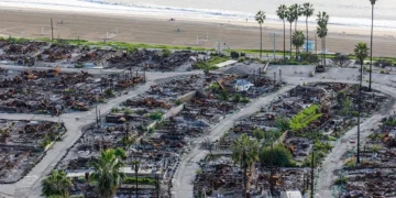 Photos show the Pacific Palisades one year after the Los Angeles wildfires, from empty lots to rebuilt storefronts