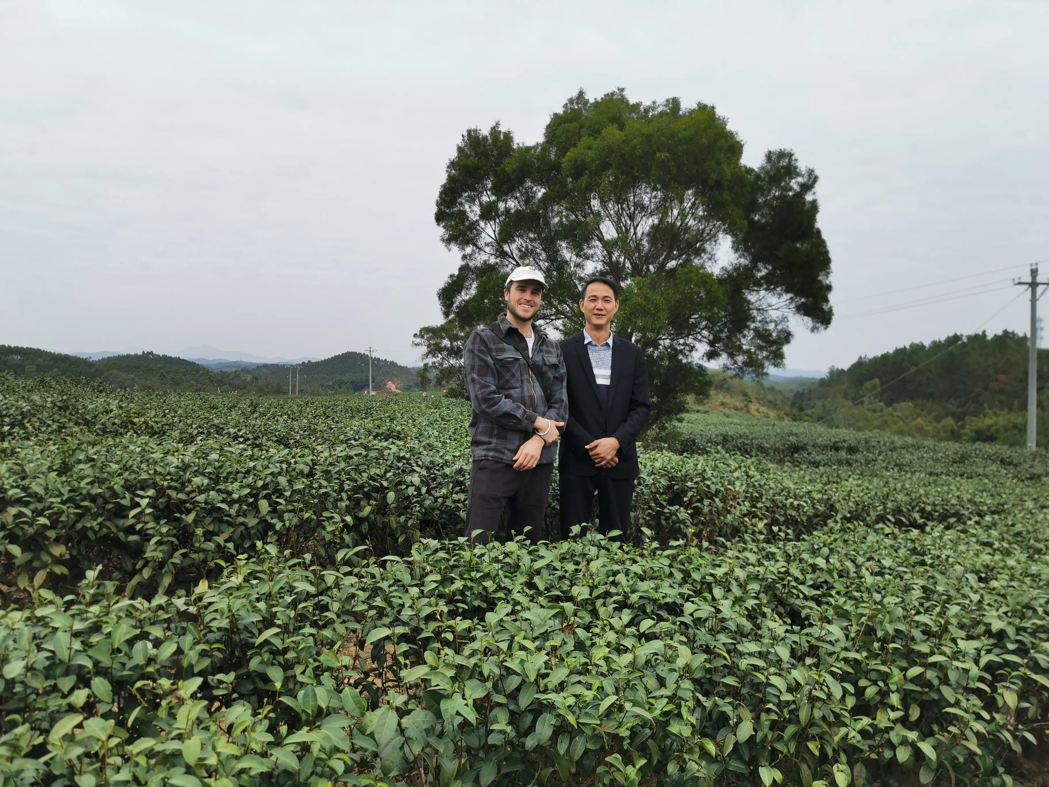 Dylan Rothenberg, alongside the operator of an Oolong tea garden in Huizhou, Guangdong, China.