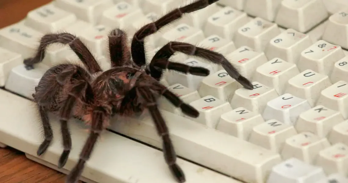 Anthropic and OpenAI are crawling the web even more and not giving much back