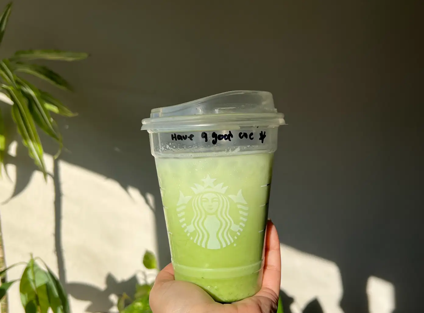 The writer holding up an iced protein matcha from Starbucks.