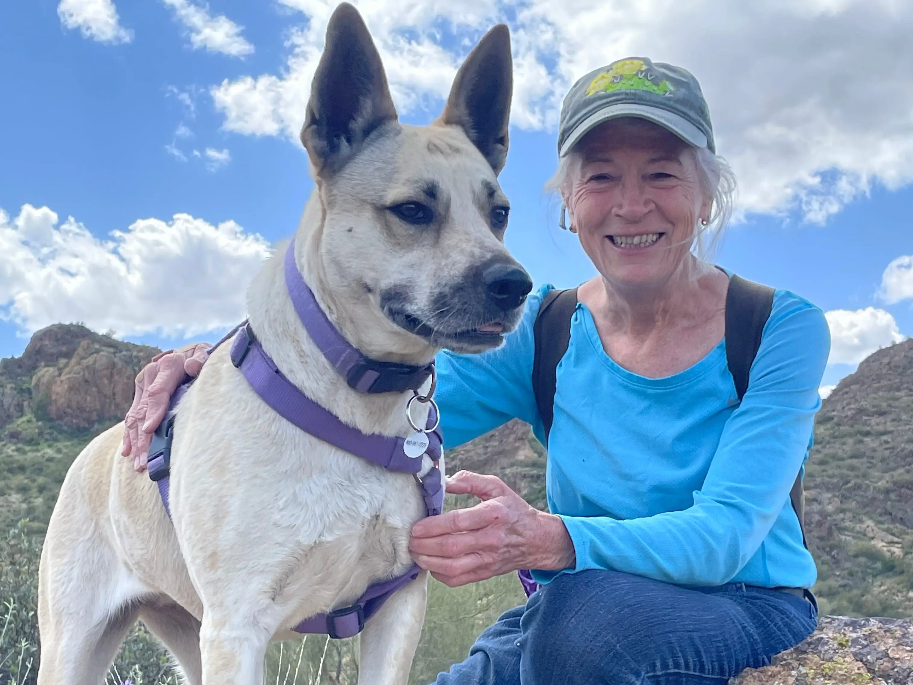 A woman sitting on a rock with a dog