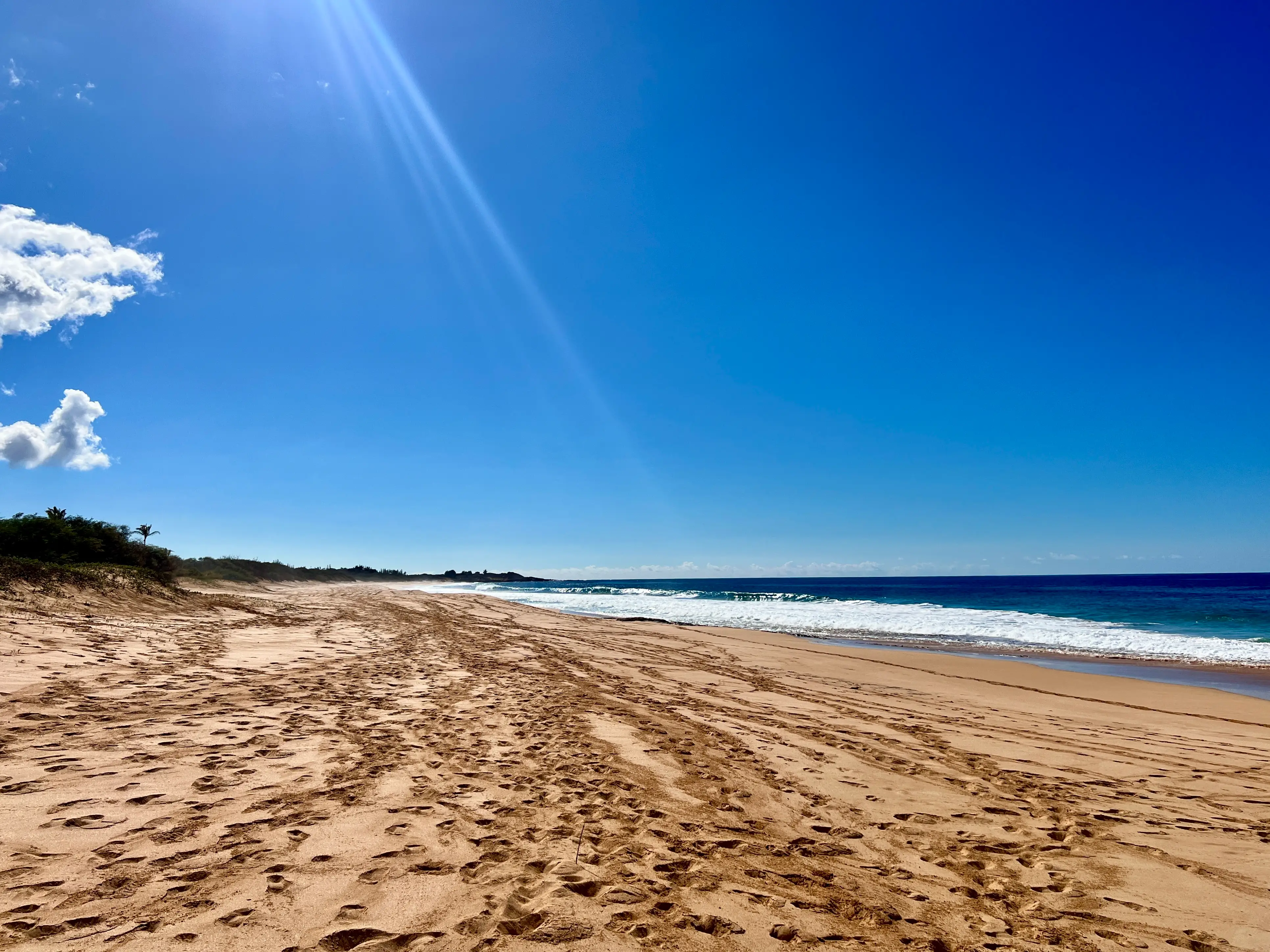 Empty beach with footprints in sand, clear blue sky