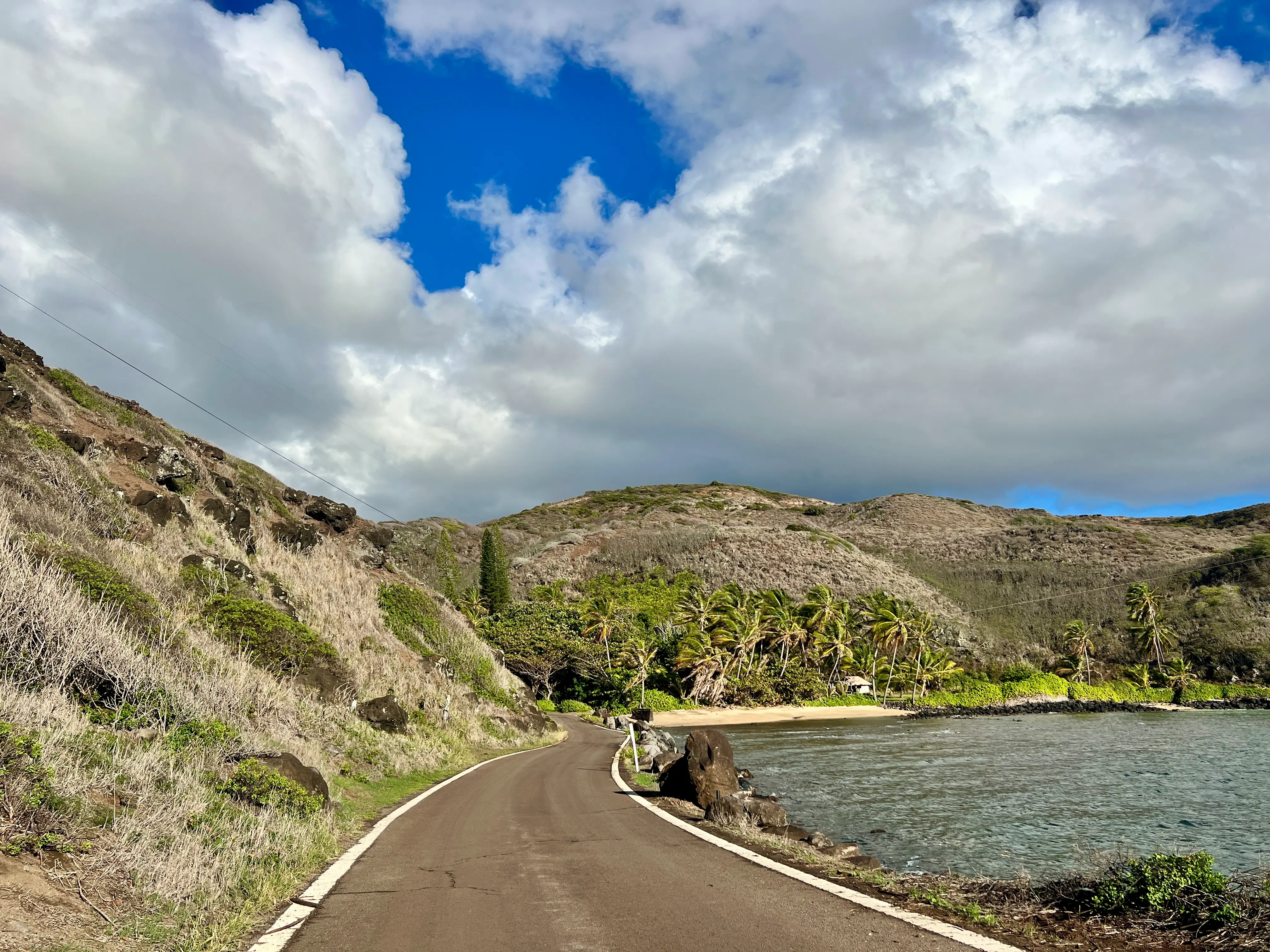 View of empty road with water on one side, palm trees and hills on the other