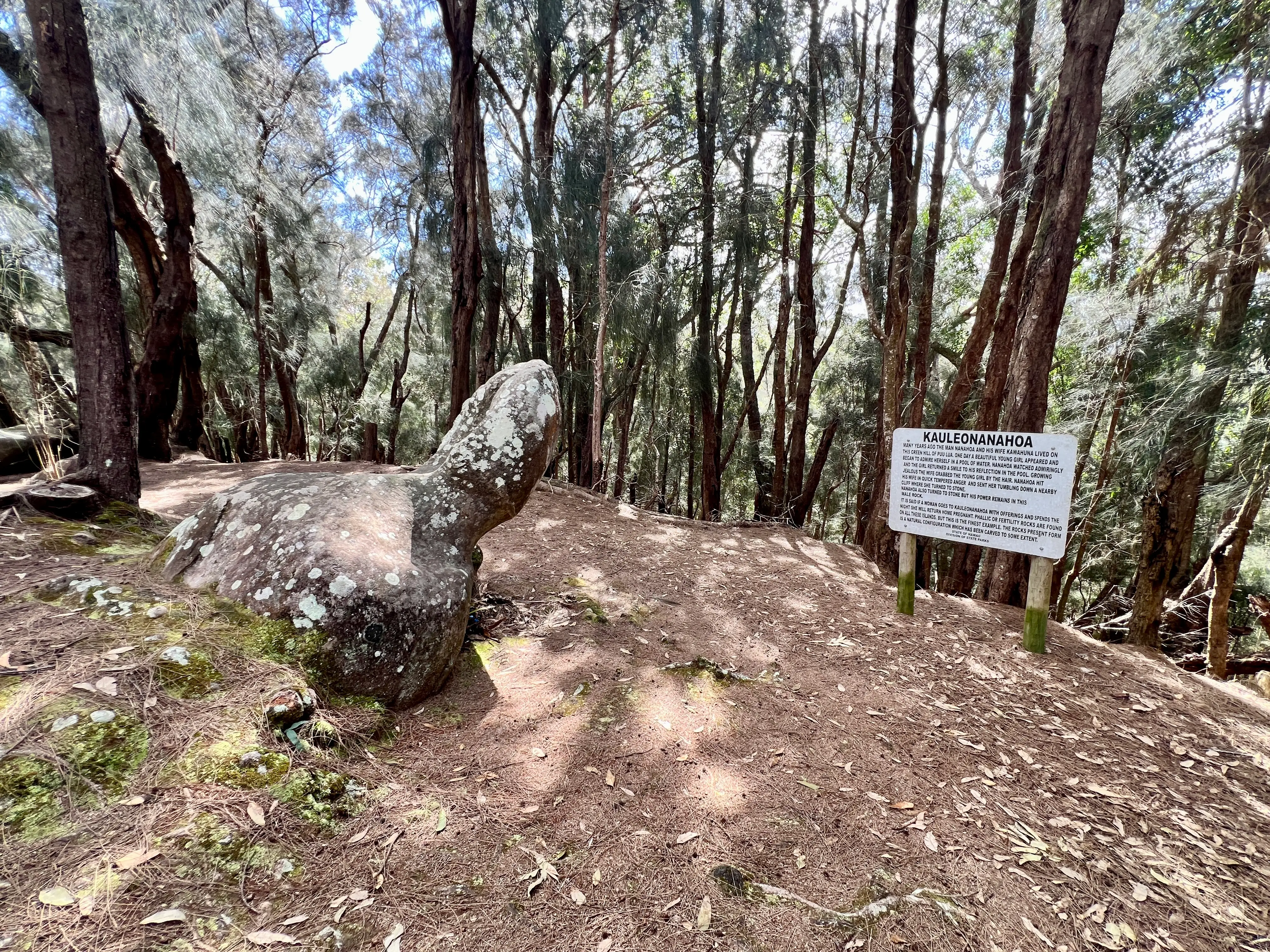 Fetility stone in Hawaii surrounded by trees