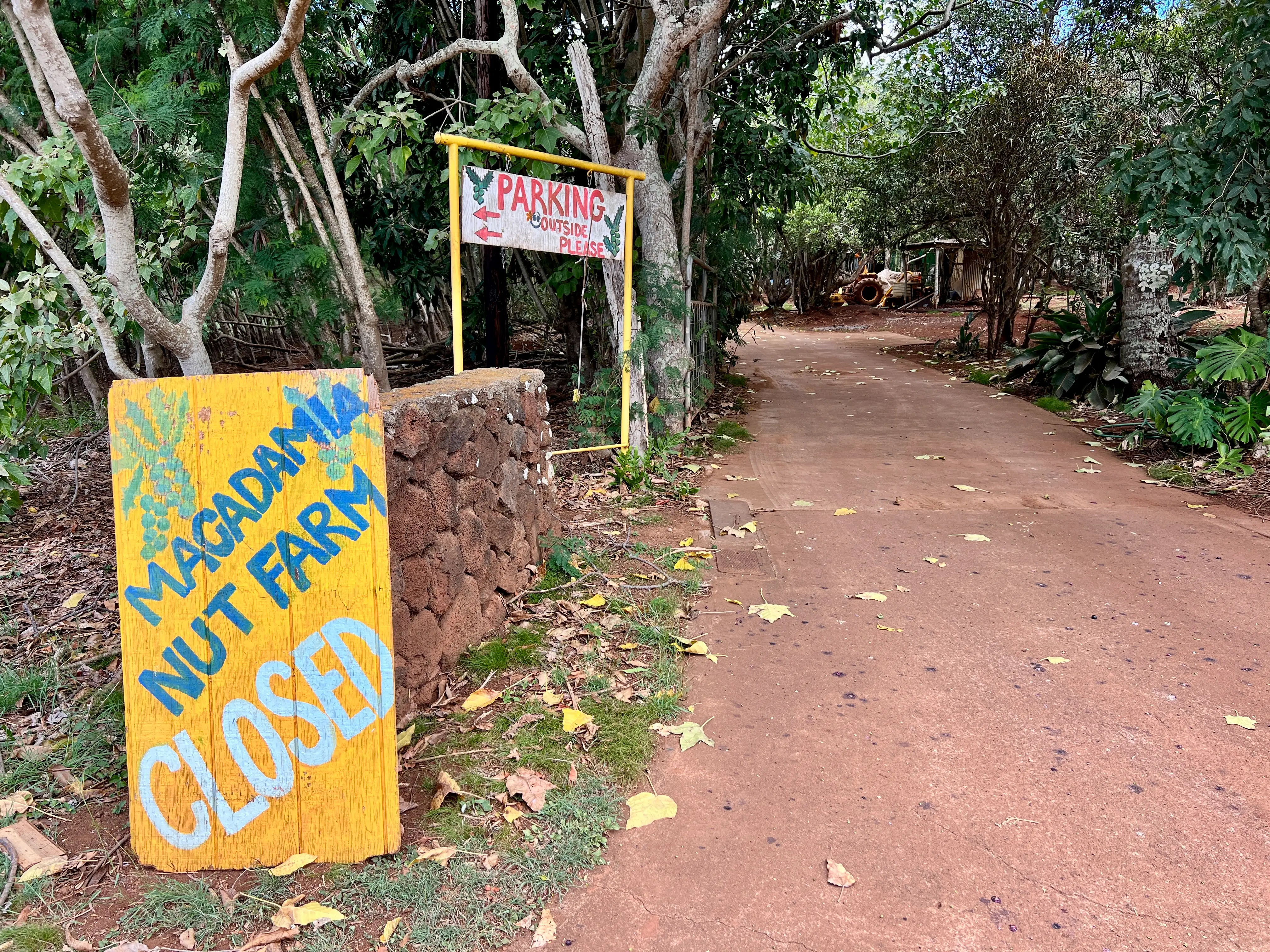 Macadamia nut farm closed sign in front of dirt road