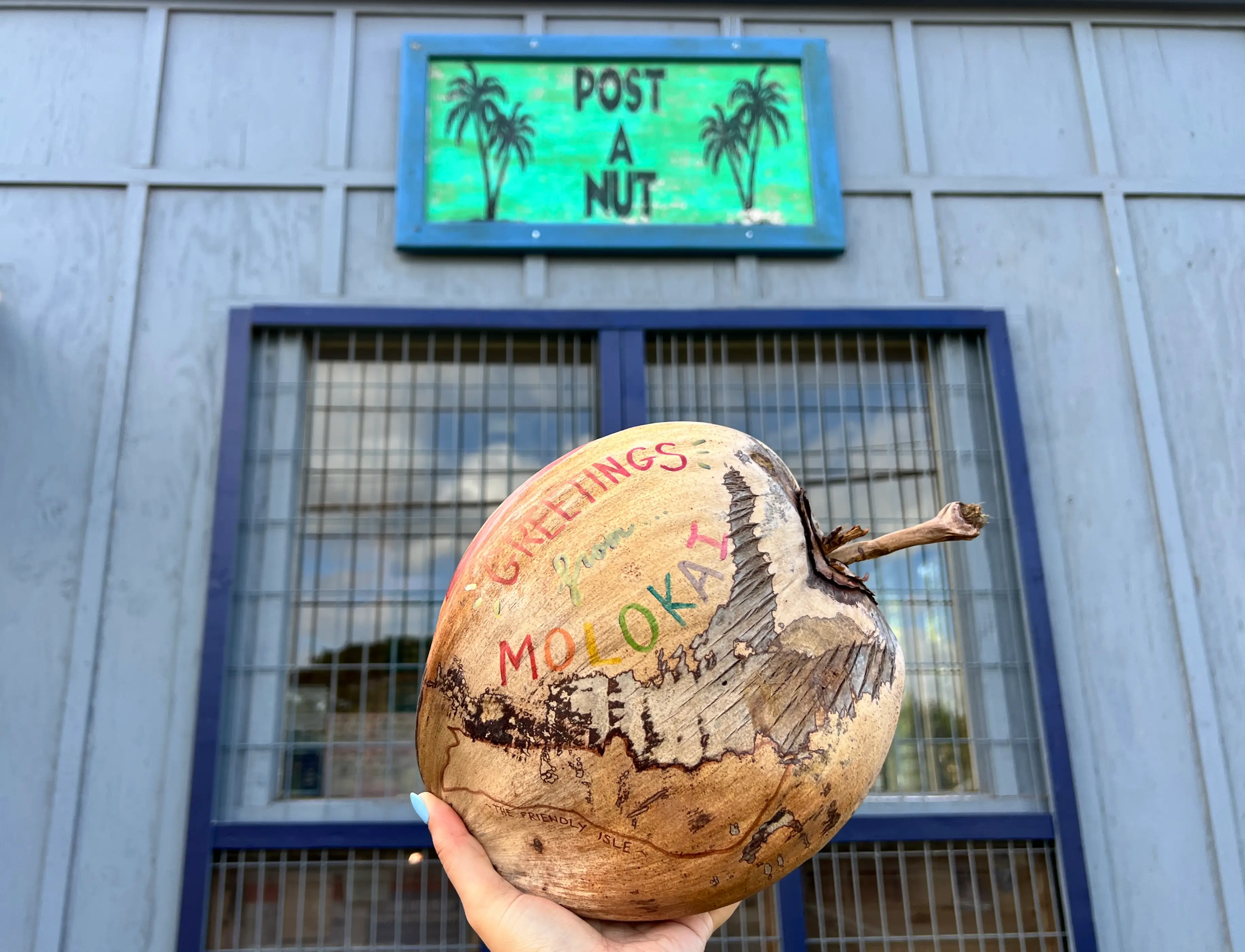 Coconut being held under 
