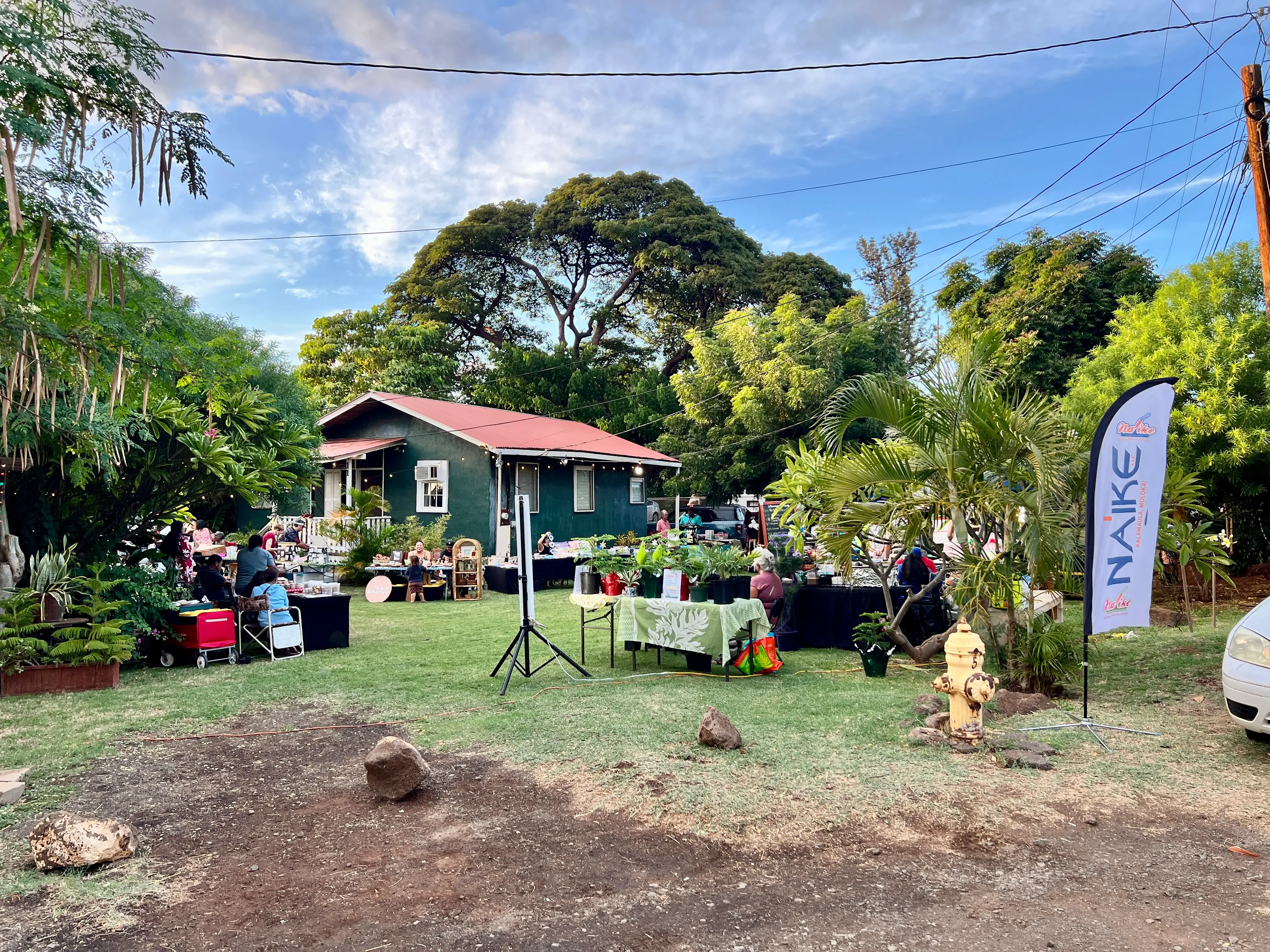 Outdoor market ssurrounded by trees with stands of vendors