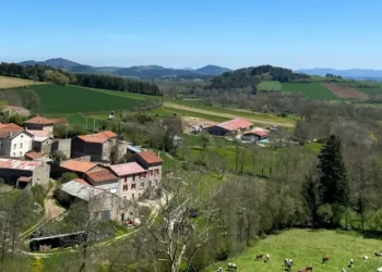 I’m an American who moved to a small French village. I tried to adjust, but learned I wasn’t built for country living.