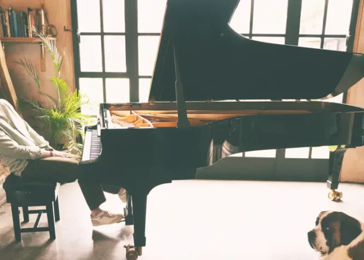 I escaped a cult and was homeless and desperate. Chris Martin gave me a piano, and I became a successful musician.