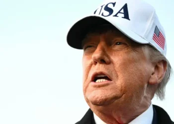 Trump is taking aim at a power grid operator in a bid to bring electricity costs down