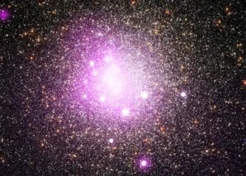 AI is turning Big Tech into a superstar economy