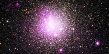 AI is turning Big Tech into a superstar economy