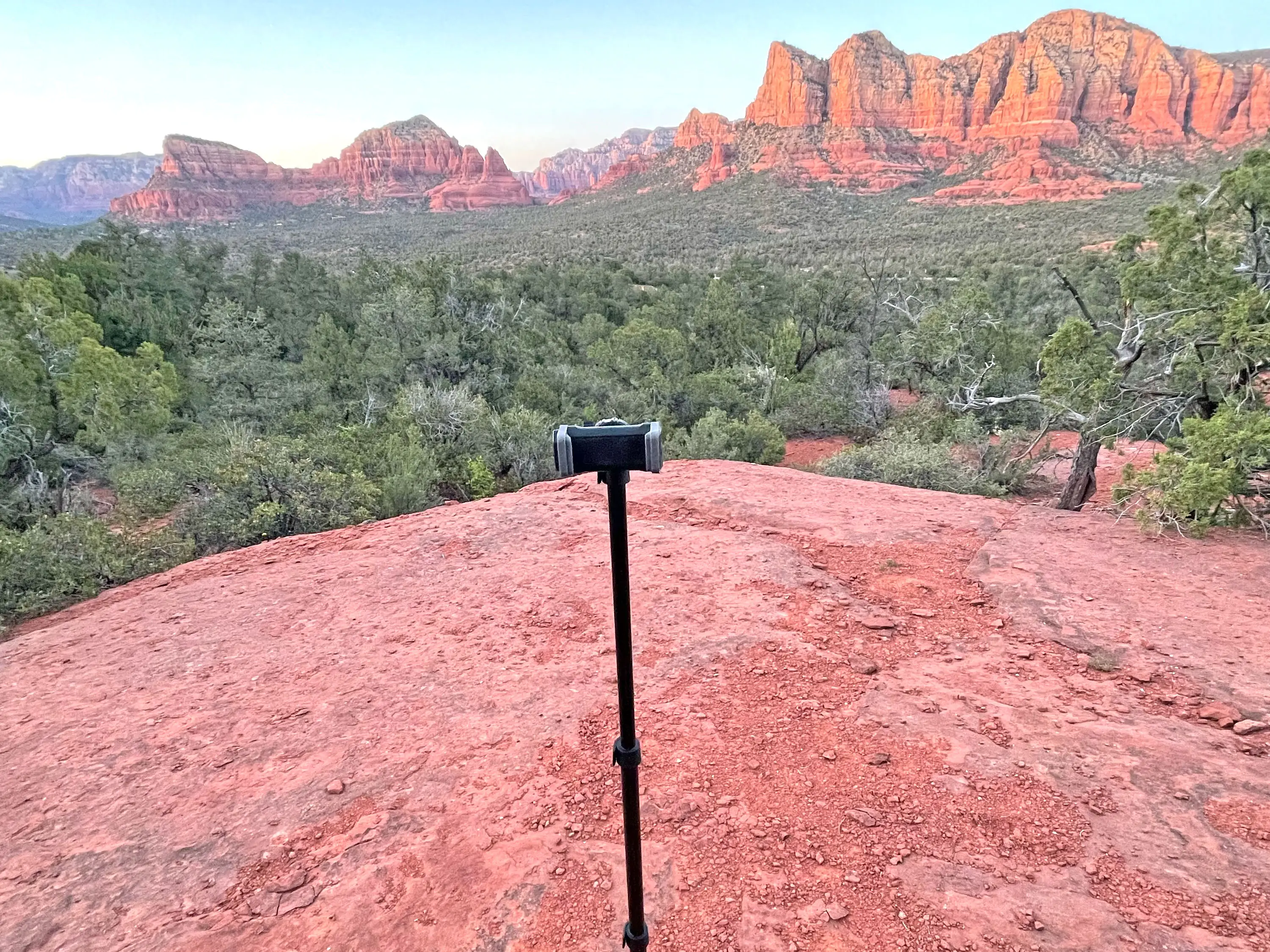 A phone tripod set up on a hiking trail in a national park.