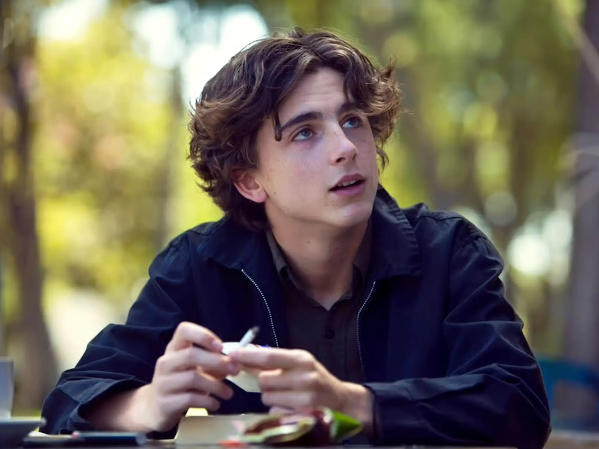 timothee chalamet in lady bird