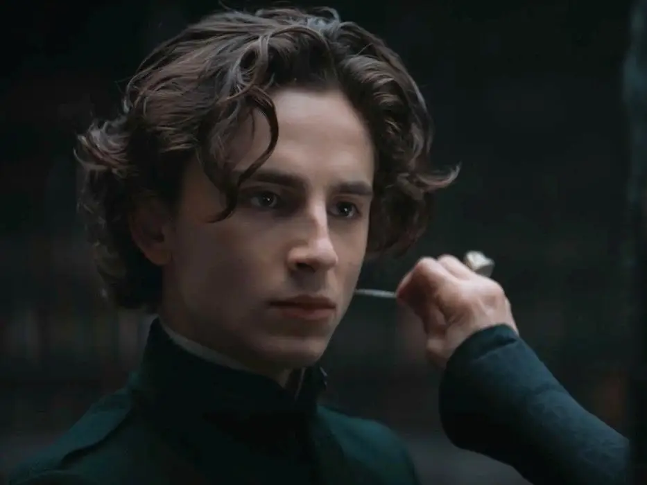 timothee chalamet in dune