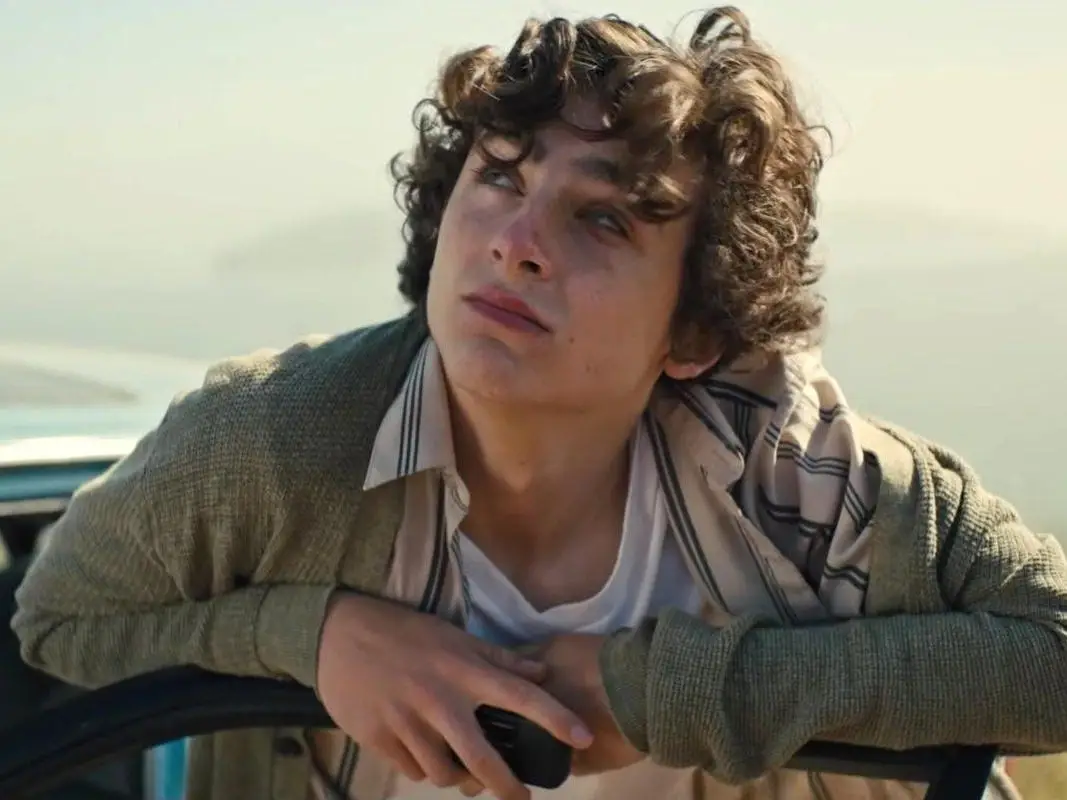 timothee chalamet in beautiful boy