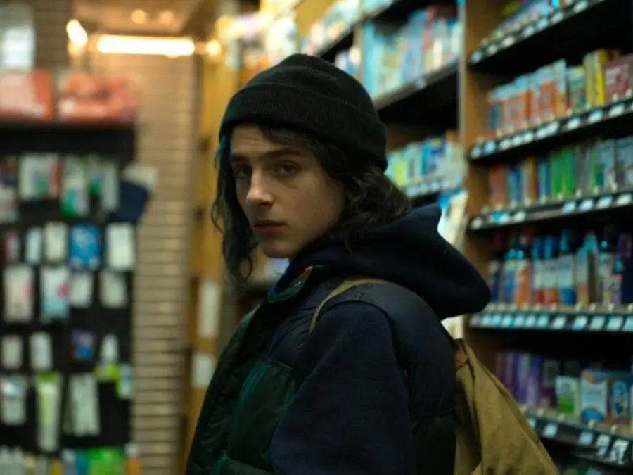 timothee chalamet in the adderall diaries