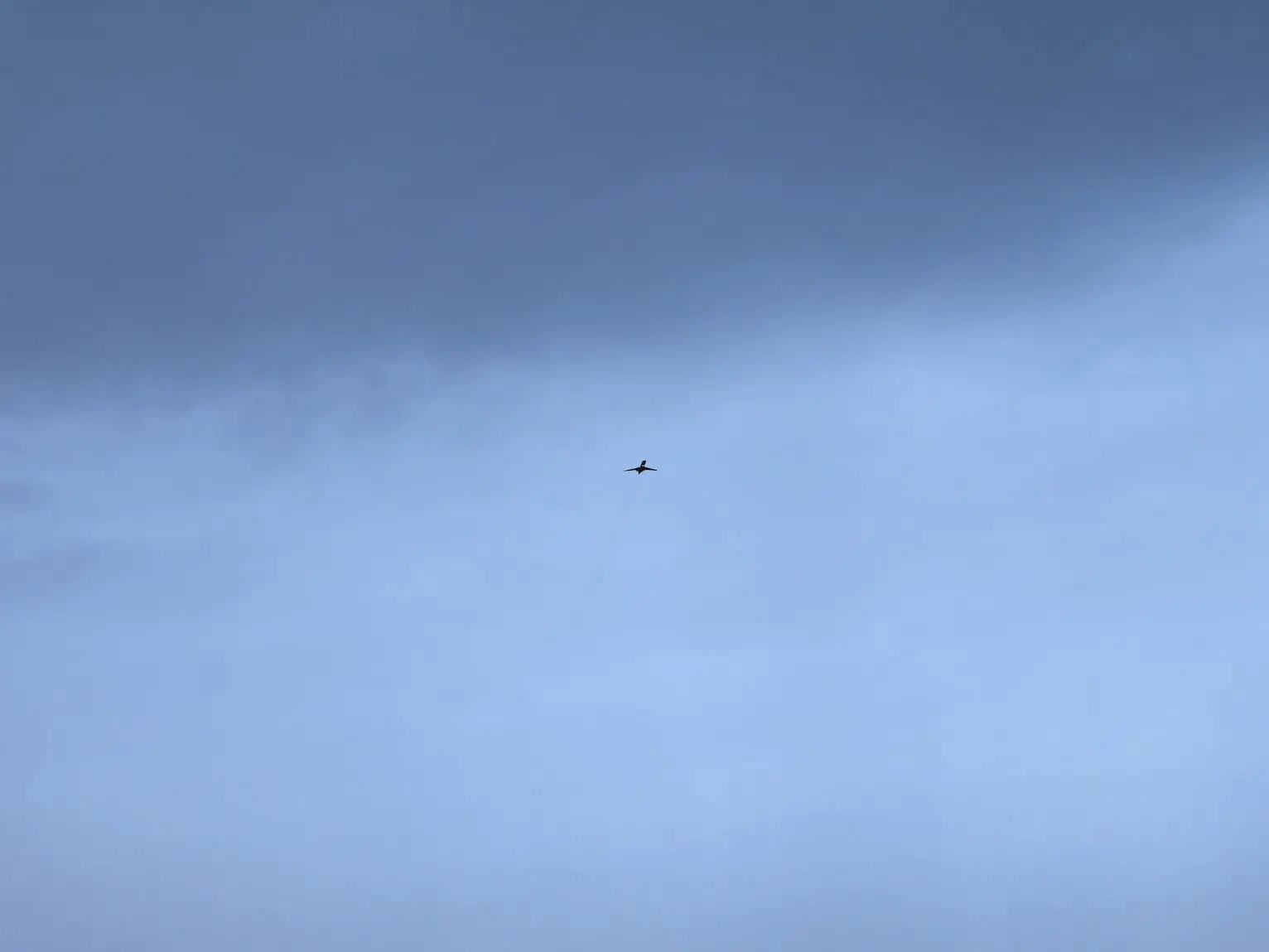 A plane taking off from Dulles Airport.