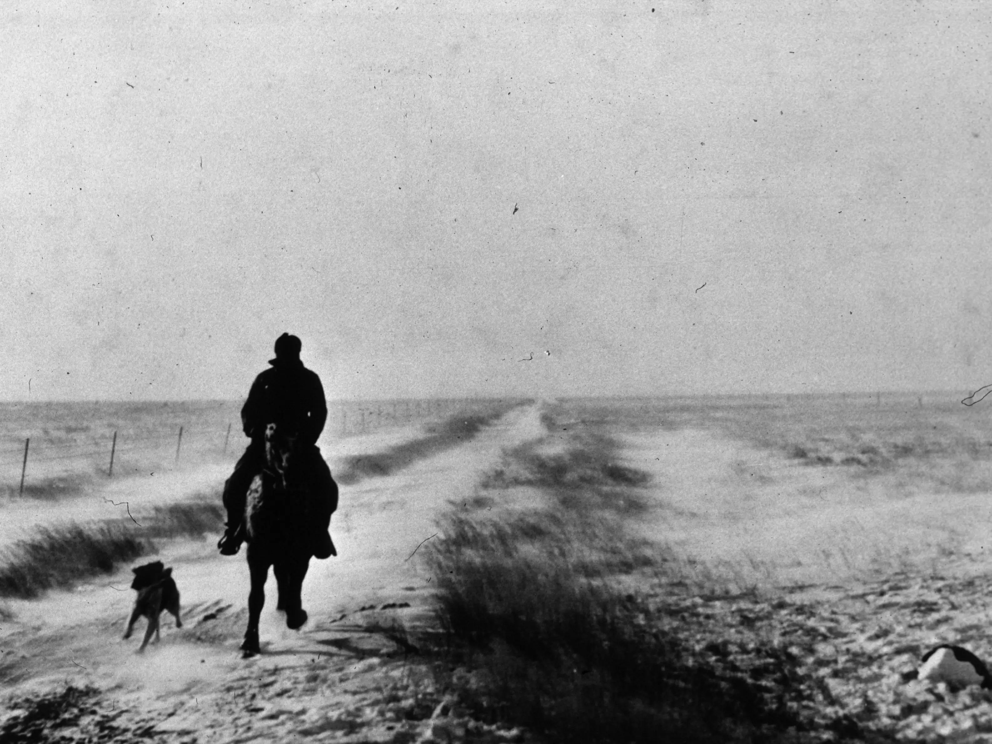 November 1940: A farmer riding out in Lymon County, South Dakota, during the first stages of a blizzard.