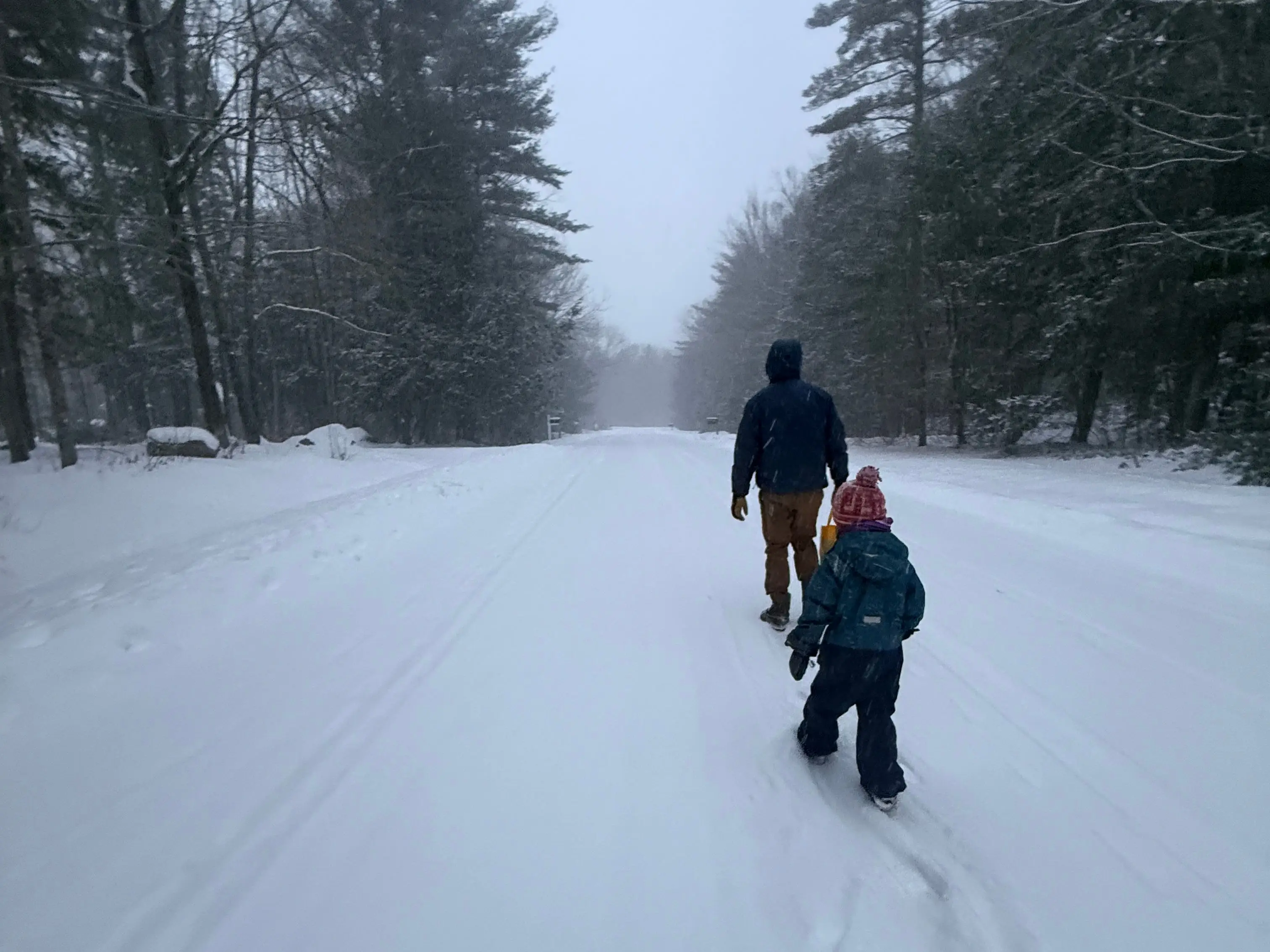 Kid walking in snow