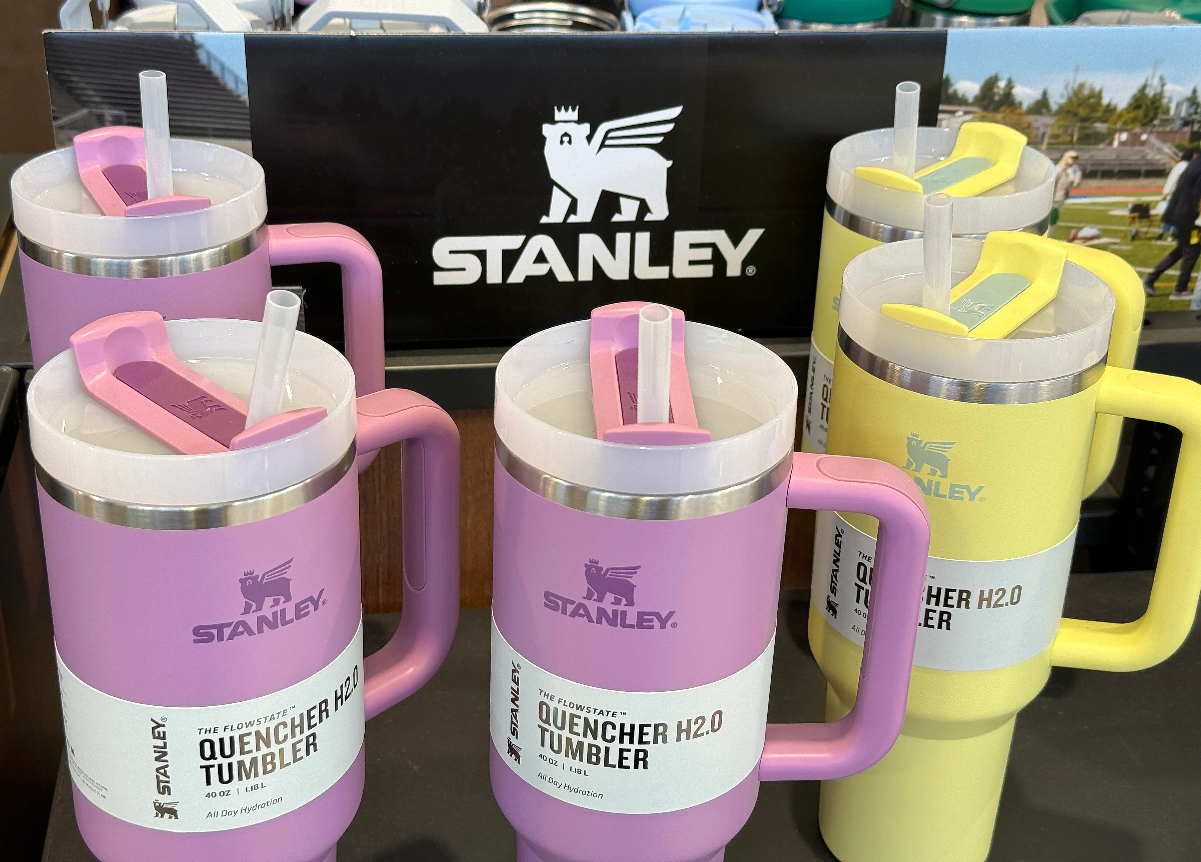 An assortment of tumblers from Stanley 1913.